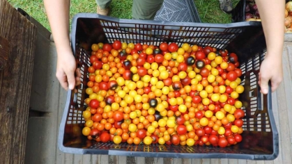 pantryfarm