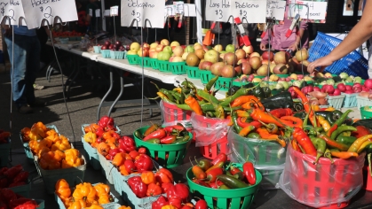 Food at New Brunswick Farmers Market