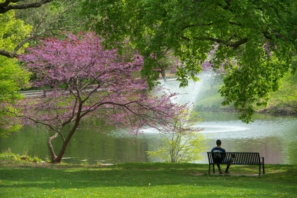 Passion Puddle on Douglass Campus in the spring