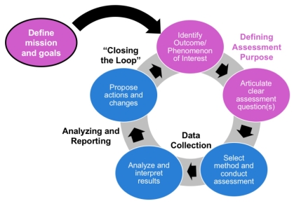 assessment cycle infographic