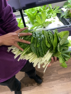 Photo of a person holding salad